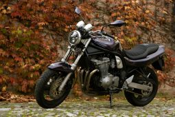 Harley Davidson 107